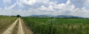 Nature and the Italian countryside